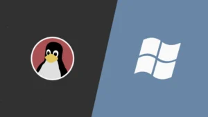 Windows Linux
